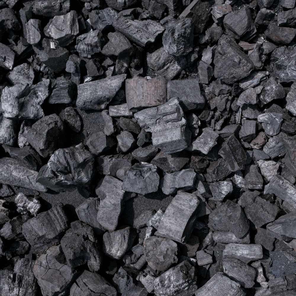 Coal